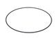 O-Ring Innen Ø160 WS 2,50mm 