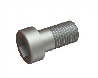 M16x30 Hexagonal socket head screw 8.8 for Lindner Recyclingtech Lindner Jupiter