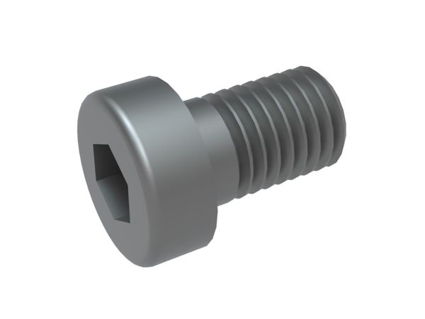 M10x16 hexagon socket head screw 8.8 for Vecoplan Vecoplan VAZ