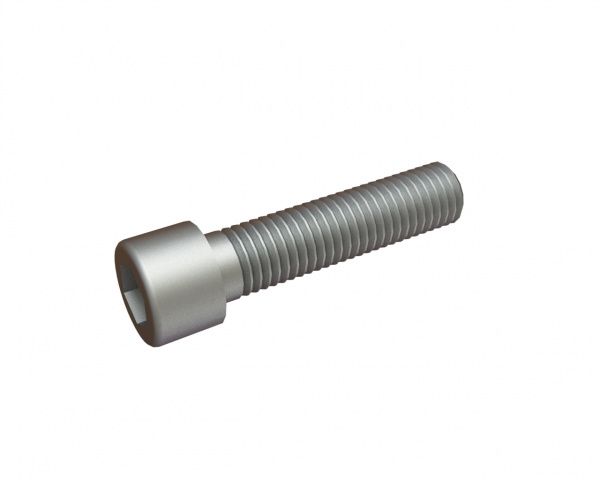 M12X50 hexagon socket head screw 8.8 for Lindner Antares 1600