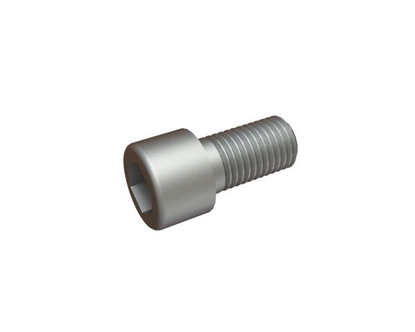 M16x30 hexagon socket head screw 8.8 for Lindner Recyclingtech Lindner Jupiter