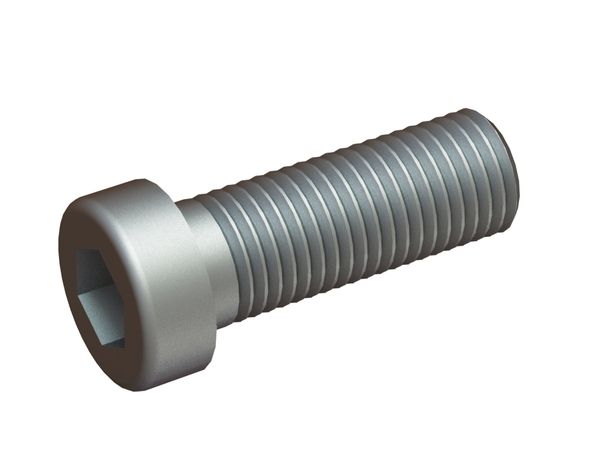 M16x45 Hexagon socket head screw 8.8 