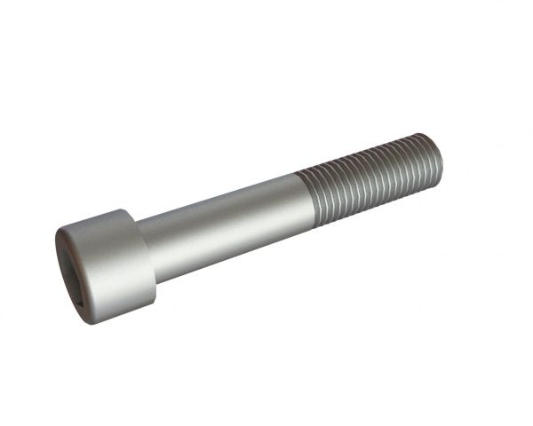 M20x110 vite ad esagono incassato 12.9 DIN 912/ ISO 4762, acciaio grezzo per Eldan Recycling Eldan SC | Super Chopper