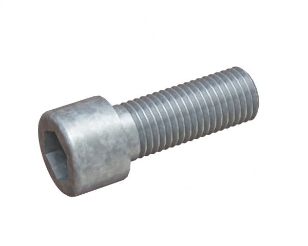 M20x55 hexagon socket head screw 8.8 for Vecoplan Vecoplan VNZ