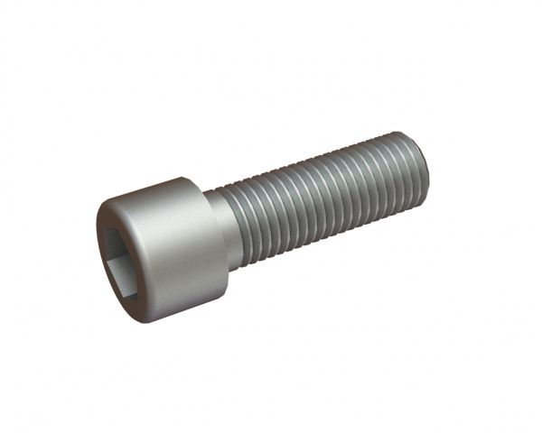 M20x60 hexagon socket head screw 10.9 for Lindner Recyclingtech Lindner Jupiter