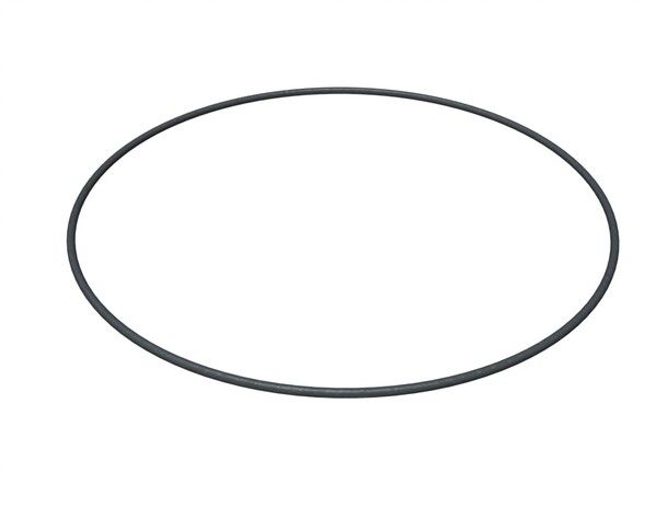 O-ring interno Ø160 WS 2,50mm 