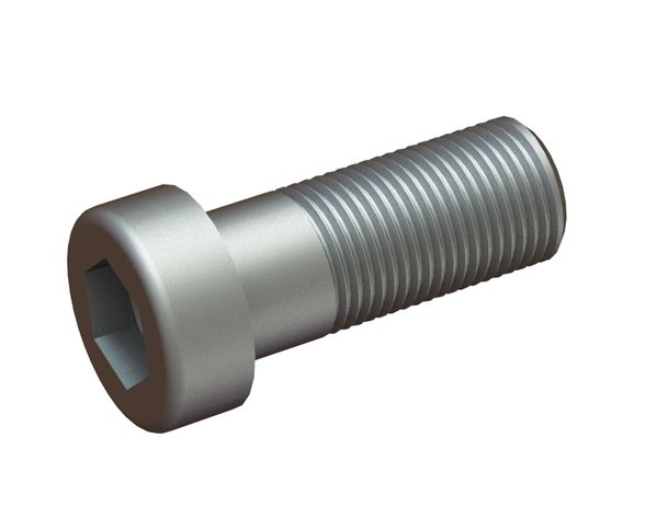 Vite a brugola M24x55 10.9 testa bassa, guida chiave, DIN 6912 / ISO 4762, acciaio grezzo 