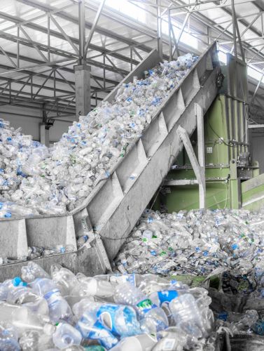 Botellas de plástico avanzando sobre una cinta a través de una máquina de clasificación.